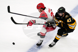 Hurricanes Bruins Hockey