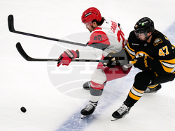 Hurricanes Bruins Hockey