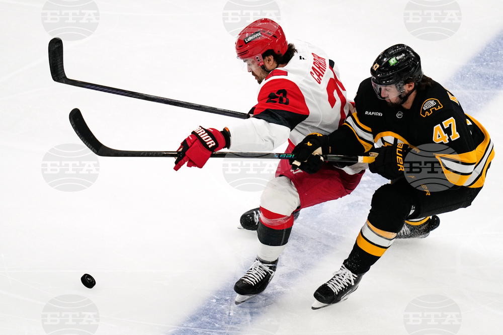 Hurricanes Bruins Hockey