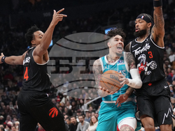 Raptors Hornets Basketball