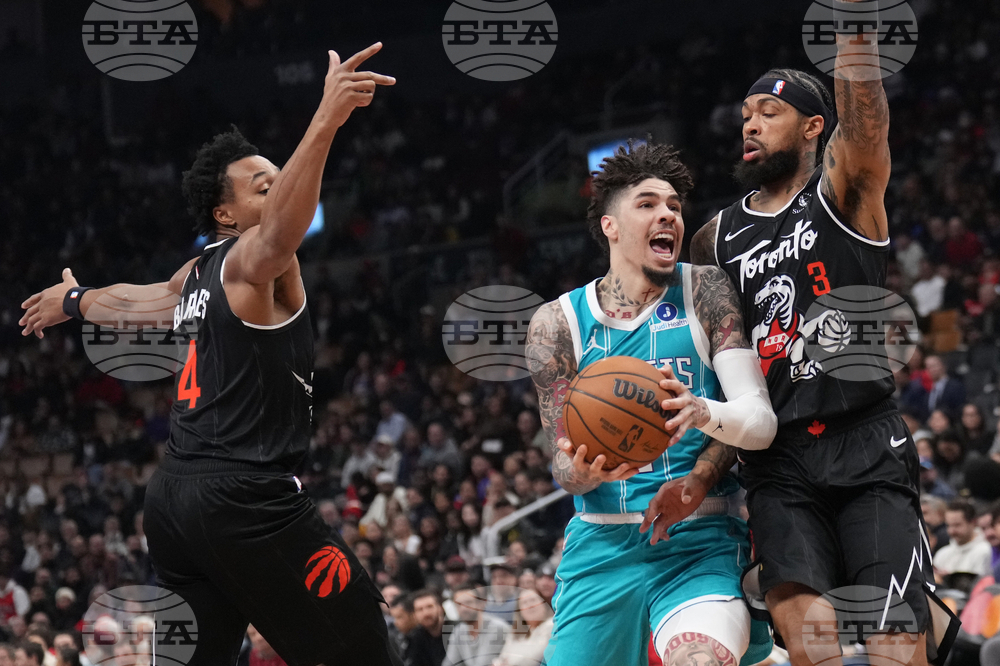 Raptors Hornets Basketball