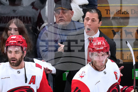 Hurricanes Bruins Hockey