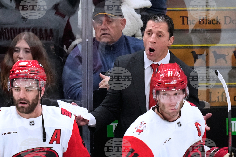 Hurricanes Bruins Hockey