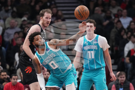 Raptors Hornets Basketball