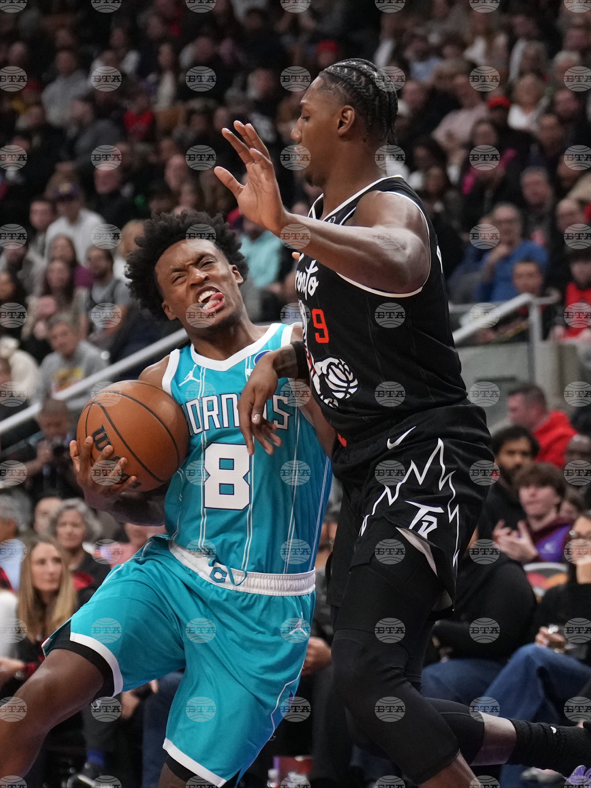 Raptors Hornets Basketball