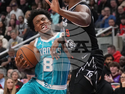 Raptors Hornets Basketball