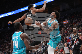 Raptors Hornets Basketball