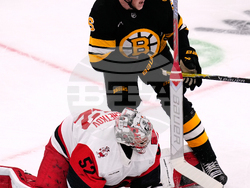 Hurricanes Bruins Hockey