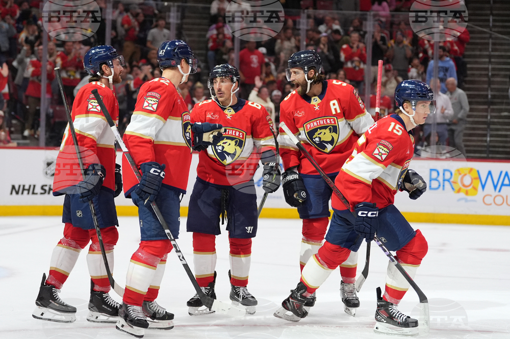 Canucks Panthers Hockey