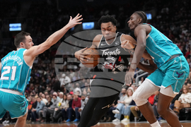 Raptors Hornets Basketball