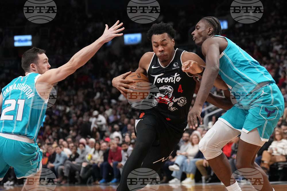 Raptors Hornets Basketball