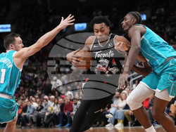 Raptors Hornets Basketball