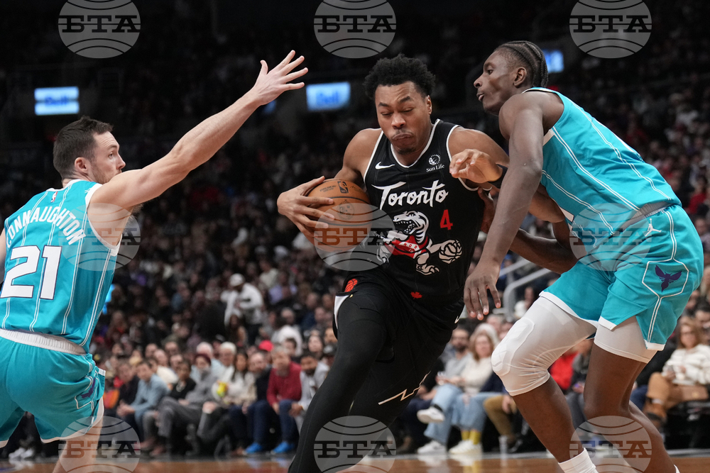 Raptors Hornets Basketball