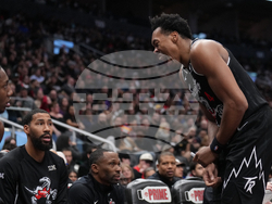 Raptors Hornets Basketball