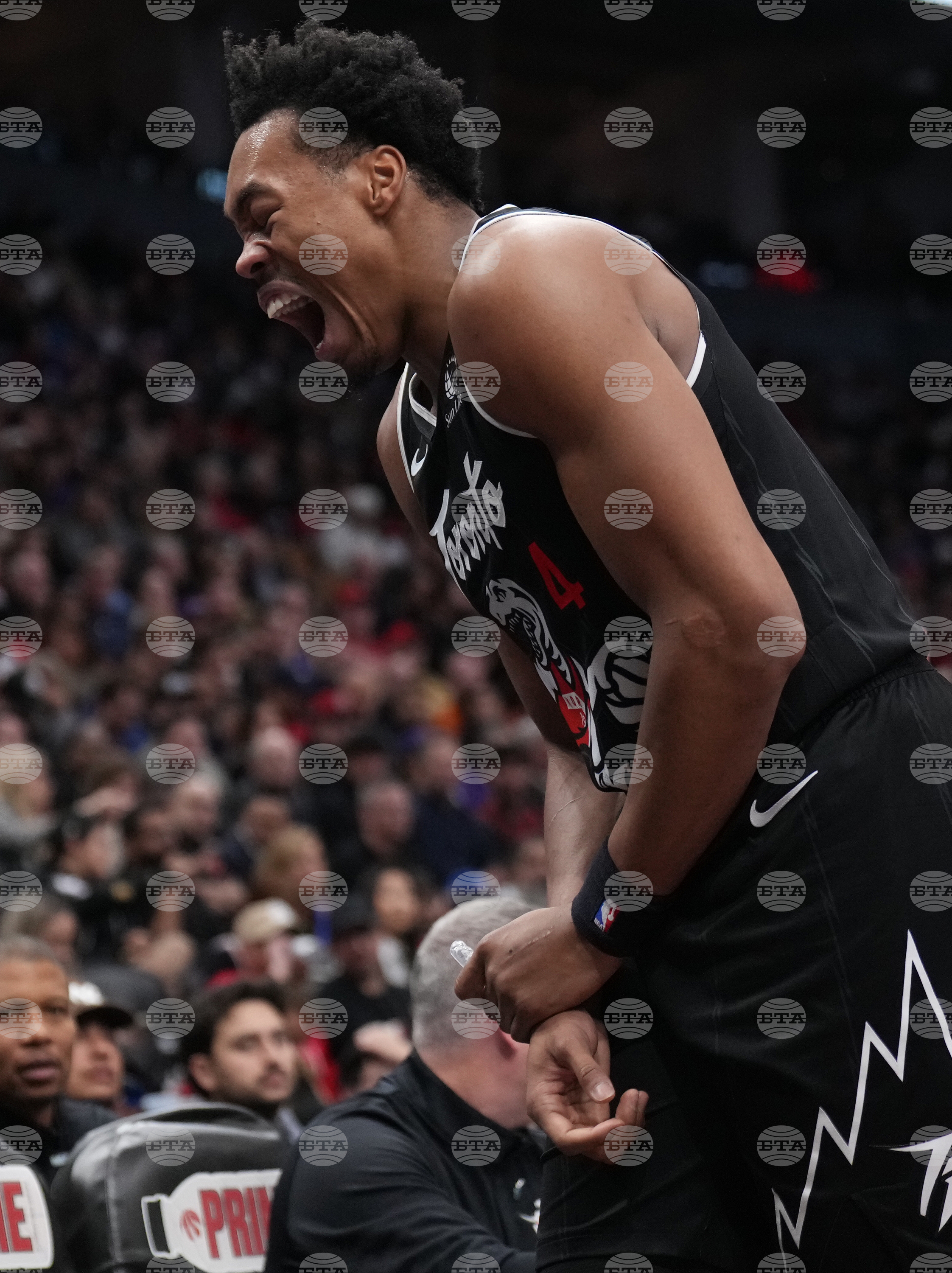 Raptors Hornets Basketball