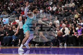 Raptors Hornets Basketball