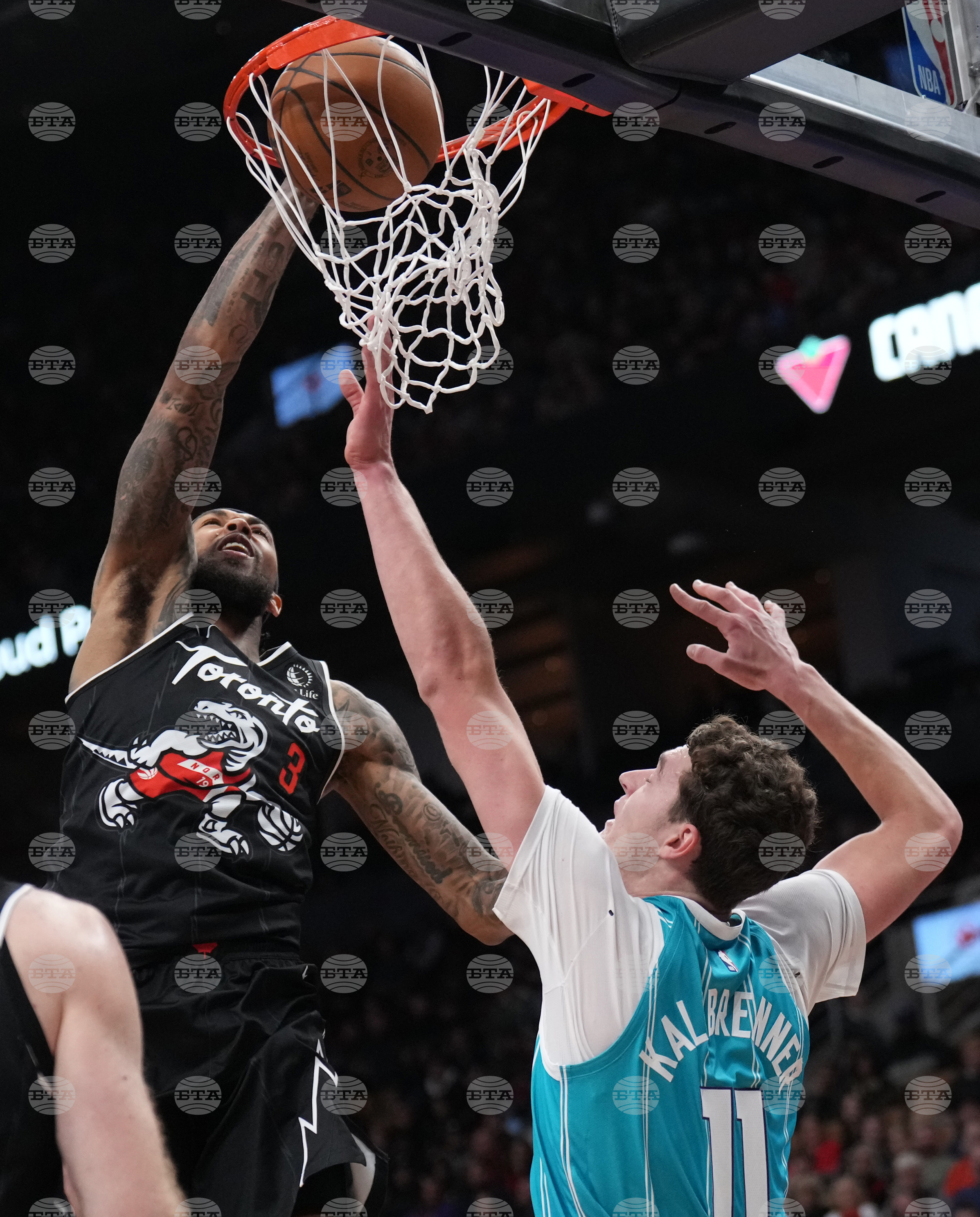 Raptors Hornets Basketball