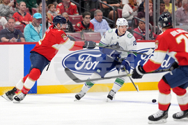 Canucks Panthers Hockey