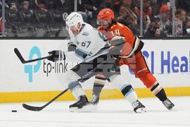 Mammoth Ducks Hockey