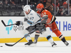 Mammoth Ducks Hockey