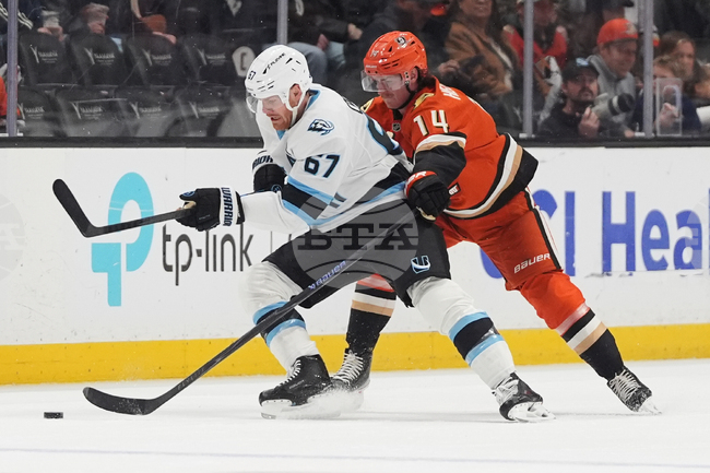 Mammoth Ducks Hockey