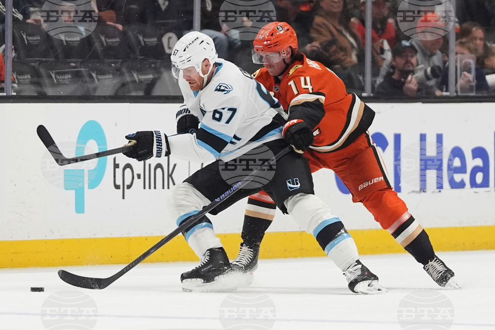 Mammoth Ducks Hockey