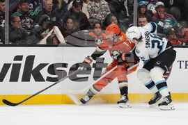 Mammoth Ducks Hockey