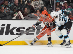 Mammoth Ducks Hockey