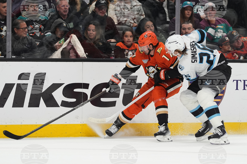 Mammoth Ducks Hockey