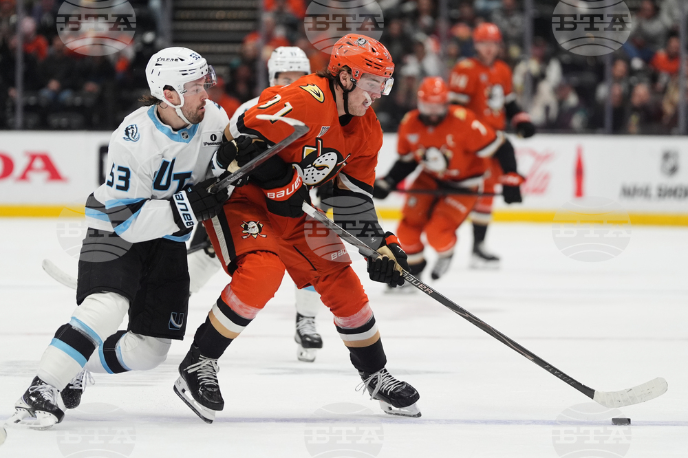 Mammoth Ducks Hockey