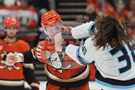 Mammoth Ducks Hockey