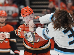 Mammoth Ducks Hockey