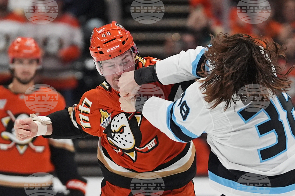 Mammoth Ducks Hockey