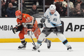 Mammoth Ducks Hockey