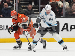 Mammoth Ducks Hockey