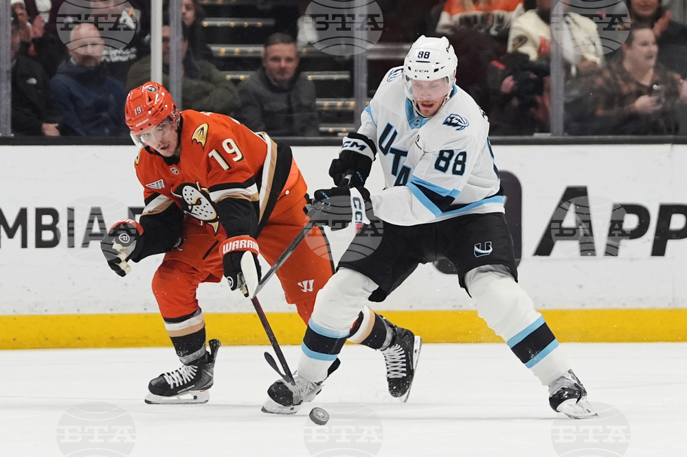 Mammoth Ducks Hockey