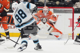 Mammoth Ducks Hockey