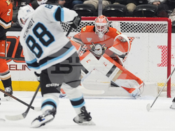 Mammoth Ducks Hockey