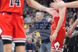 Bulls Nuggets Basketball