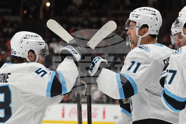 Mammoth Ducks Hockey