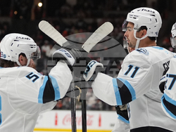 Mammoth Ducks Hockey