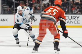 Mammoth Ducks Hockey