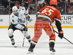 Mammoth Ducks Hockey