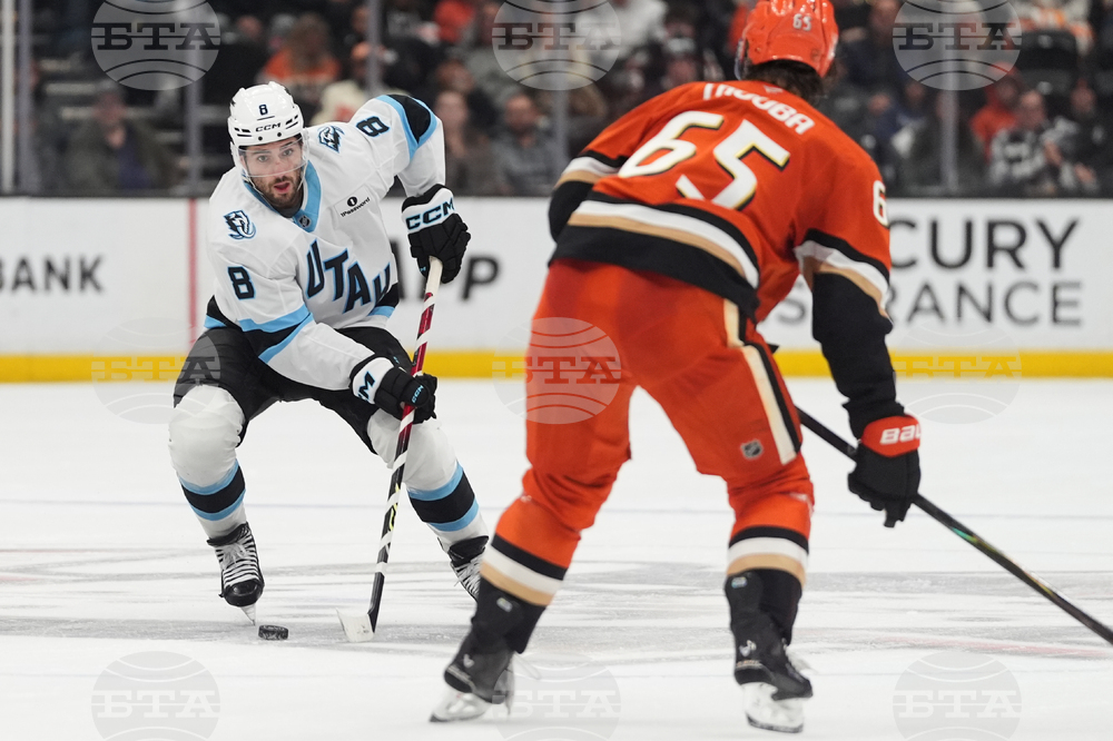 Mammoth Ducks Hockey