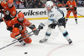 Mammoth Ducks Hockey