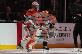 Mammoth Ducks Hockey