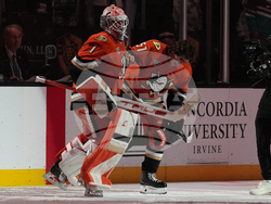 Mammoth Ducks Hockey