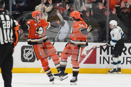 Mammoth Ducks Hockey