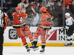 Mammoth Ducks Hockey