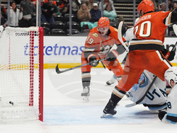 Mammoth Ducks Hockey
